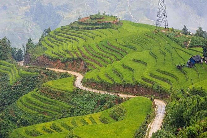 Sapa 3 Days 2 Nights Trekking Tour (1 Night In Ta Van Village, 1 Night In Hotel) - Day 3: Giang Ta Chai Photos, Rice Paddies, and the Return to Hanoi