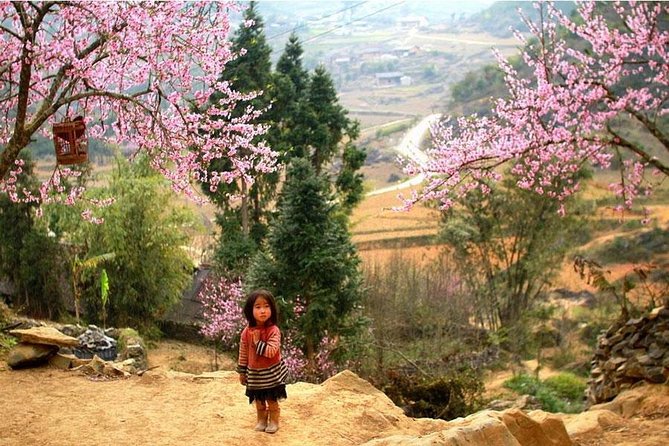 Sapa 3 Days 2 Nights Trekking Tour (1 Night In Ta Van Village, 1 Night In Hotel) - Guides Make or Break It: From Cat and Su to May and Vue