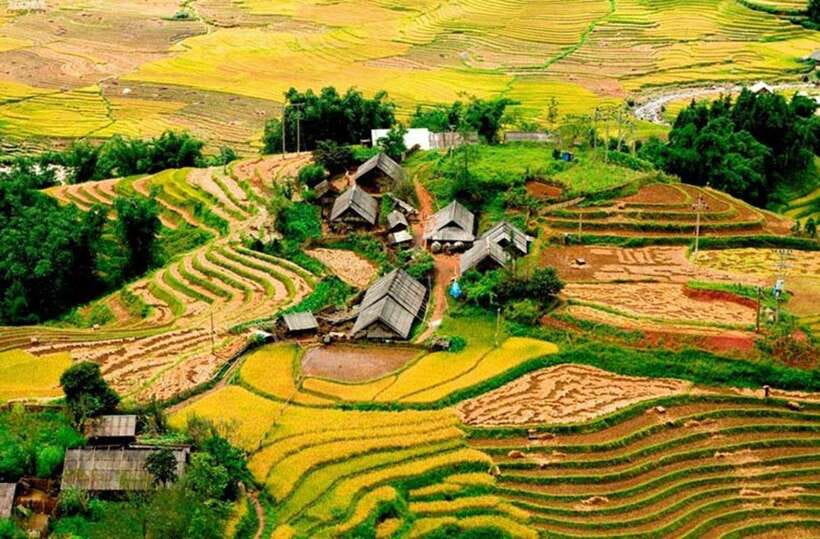 Sapa: Eco Adventure Terrace Fields and Local Villages Trek - Key highlights worth the time