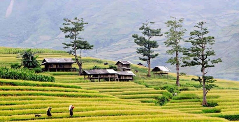 Sapa: Eco Adventure Terrace Fields and Local Villages Trek - The Hmong Stop at Y Linh Ho: A River Crossing and Village Connections