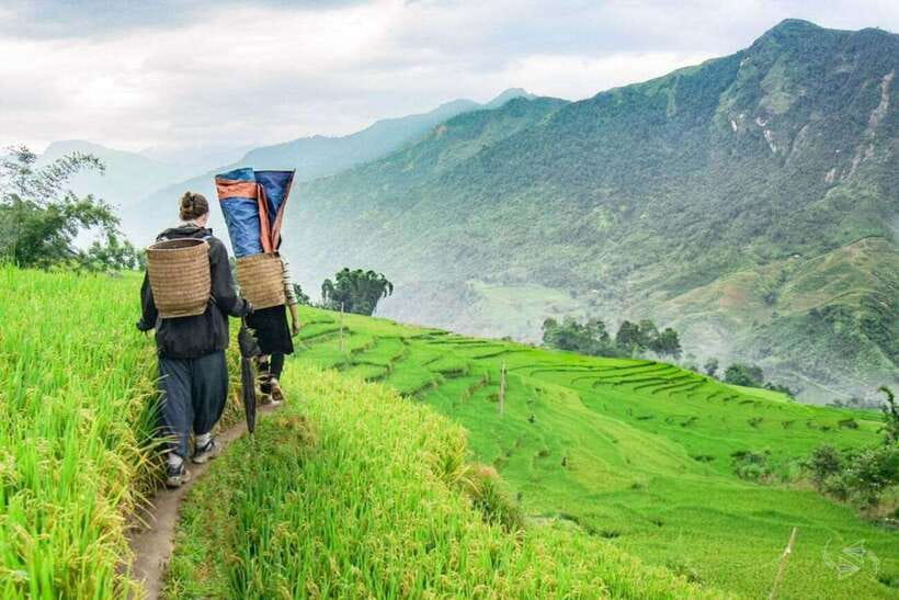 Sapa: Eco Adventure Terrace Fields and Local Villages Trek - Lao Chai Sang Lunch: Home-Cooked Food That Actually Tastes Like a Village