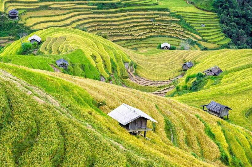 Sapa: Eco Adventure Terrace Fields and Local Villages Trek - Who Should Book This Sapa Trek (and Who Might Skip It)