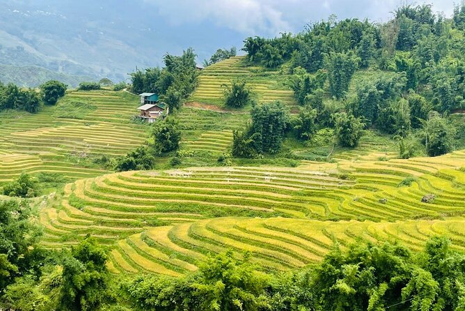 Sapa Motorbike Tour With Local Guide 1 Day - Waterfalls, Villages - Muong Hoa Valley: terraces, villages, and a slow-change kind of beauty