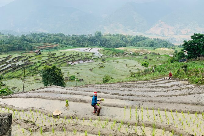 Sapa Motorbike Tour With Local Guide 1 Day - Waterfalls, Villages - Weather and road conditions: why fog changes everything